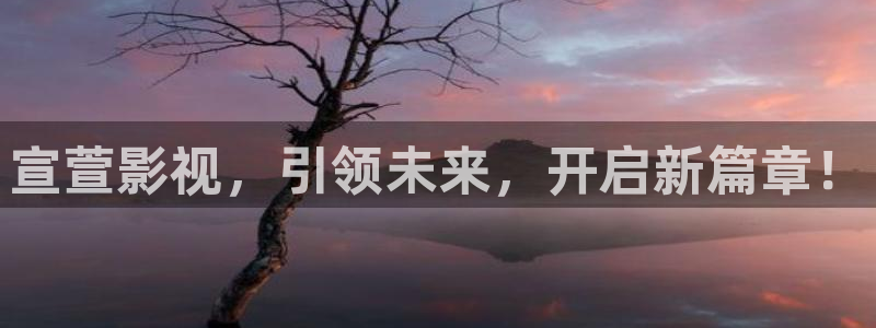 西瓜大片免费在线观看：宣萱影视，引领未来，开启新篇章！