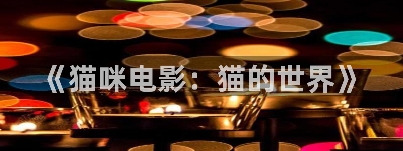 少年天子西瓜免费观看：《猫咪电影：猫的世界》