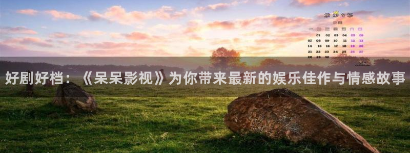 西瓜视频播放器